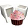 Giant Cupcake Boxes - Complete